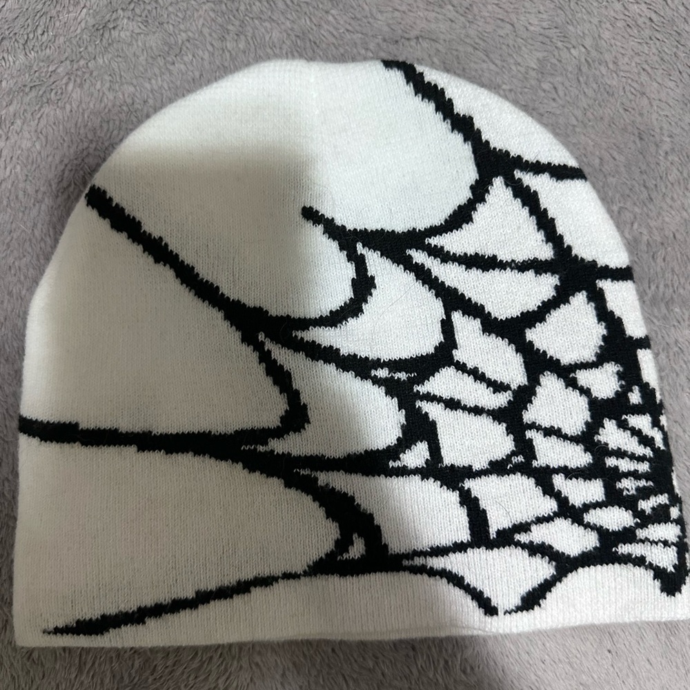 Spider-Web Beanie